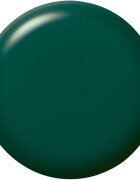Sally Hansen Color Therapy lak za nohte odtenek 453 Serene Green 147 ml