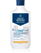 Salt House Dead Sea Therapy Anti-dandruff Shampoo šampon proti prhljaju 250 ml