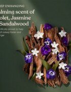 Sanctuary Spa Wellness božični darilni set