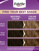 Schwarzkopf Palette Intensive Color Creme permanentna barva za lase odtenek 7-65 (LG5) Sparkling Nougat 1 kos