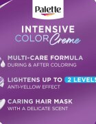 Schwarzkopf Palette Intensive Color Creme permanentna barva za lase odtenek (C9) 9.5-1 Silver Blond 1 kos