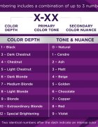 Schwarzkopf Palette Intensive Color Creme permanentna barva za lase odtenek (C9) 9.5-1 Silver Blond 1 kos