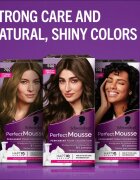 Schwarzkopf Perfect Mousse permanentna barva za lase odtenek 400 Icy Espresso 1 kos