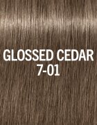 Schwarzkopf Professional Blondme Glow Toner tonirana barva za lase odtenek Glossed Cedar 7-01 60 ml
