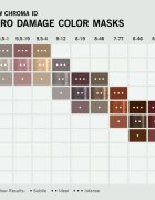 Schwarzkopf Professional Chroma ID Color Mask intenzivna barvna maska za lase odtenek 6-88 Ruby Red 300 ml