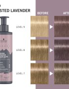 Schwarzkopf Professional Chroma ID Color Mask intenzivna barvna maska za lase odtenek 8-19 Frosted Lavender 300 ml