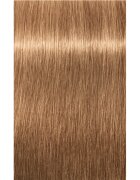 Schwarzkopf Professional IGORA Color 10 permanentna barva za lase odtenek 8-65 Light Blonde Chocolate Gold 60 ml