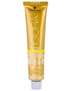 Schwarzkopf Professional IGORA Royal Absolutes Age Blend barva za lase odtenek 8-140 Light Blonde Cendré Beige Natural 60 ml