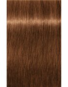 Schwarzkopf Professional IGORA Royal Absolutes barva za lase odtenek 7-60 Medium Blonde Chocolate Natural 60 ml