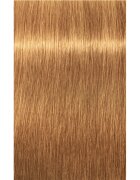 Schwarzkopf Professional IGORA Royal Absolutes barva za lase odtenek 9-60 Extra Light Blonde Chocolate Natural 60 ml