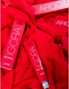 Schwarzkopf Professional IGORA Royal barva za lase odtenek 3-68 60 ml