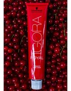 Schwarzkopf Professional IGORA Royal barva za lase odtenek 3-68 60 ml