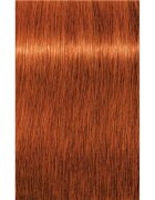 Schwarzkopf Professional IGORA Royal barva za lase odtenek 7-77 Medium Blonde Copper Extra 60 ml