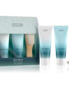 Scottish Fine Soaps Sea Kelp darilno pakiranje