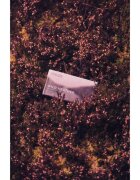Scottish Fine Soaps Wild Heather čistilno trdo milo 220 g