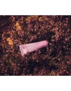 Scottish Fine Soaps Wild Heather krema za roke 30 ml