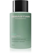 Sebastian Professional Volupt šampon za volumen las 280 ml