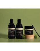 Sendo Frizz Contol Taming Hair Conditioner balzam za glajenje las za neobvladljive lase 250 ml