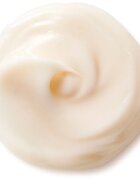 Shiseido Benefiance NutriPerfect Day Cream pomlajevalna dnevna krema SPF 15 50 ml