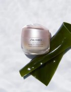 Shiseido Benefiance Wrinkle Smoothing Cream dnevna in nočna krema proti gubam za vse tipe kože 50 ml