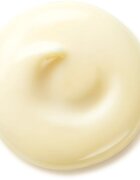 Shiseido Benefiance Wrinkle Smoothing Day Cream dnevna krema proti gubam SPF 25 50 ml