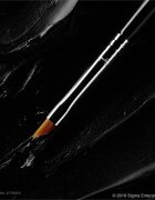 Sigma Beauty Eyes E06 WINGED LINER™ BRUSH čopič za ličenje oči 1 kos
