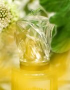 Sisley L'Eau Rêvée d'Hubert toaletna voda za ženske 50 ml