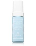 Sisley Radiance Foaming Cream čistilna pena za odstranjevanje ličil 2 v 1 125 ml