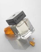 Sister's Aroma Amber aroma difuzor 110 ml