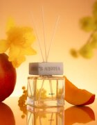 Sister's Aroma Mango aroma difuzor 120 ml