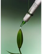 SKIN1004 Madagascar Centella Tea-Trica Spot Cream lokalna nega proti aknam s pomirjajočim učinkom 20 ml