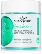 Soaphoria CoolingJelly+ Aloe Vera & Eucalyptus hladilni gel z aloe vero 100 ml