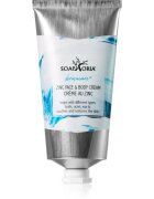 Soaphoria Dermacare+ Zinc regeneracijska krema za telo in obraz 75 ml