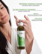 Soaphoria Hair Care Organic Shampoo tekoči organski šampon za mastne lase 250 ml