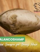 Soaphoria Hair Care Solid Shampoo organski trdi šampon za mastne lase 60 g