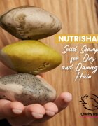 Soaphoria Hair Care Solid Shampoo organski trdi šampon za suhe in poškodovane lase 60 g