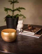 Stadler Form Diffuser Jasmine Ultrazvočni aroma difuzor barva Gold 1 kos