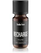 Stadler Form Recharge Jedle & Borovice eterično olje 10 ml