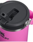 Stanley Quencher H2.O FlowState™ Tumbler lonček iz nerjavečega jekla s slamico srednja Hot Pink 1 kos