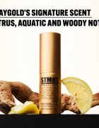 STMNT Staygold Spray Powder pudrasto pršilo za obliko 4 g