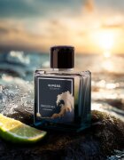 SUPERZ. Budapest Endless Sea parfumski ekstrakt za moške 50 ml