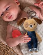 Taf Toys Activity Toy Daniel The Dog kontrastna viseča igrača z grizljajočim delom 1 kos