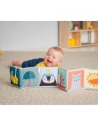 Taf Toys Book North Pole kontrastna izobraževalna knjiga za dojenčke 1 kos