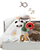 Taf Toys Luxury Newborn Kit darilni set za dojenčke