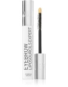 Talika Eyebrow Liposourcils Expert serum za spodbujanje rasti obrvi 10 ml