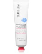Teaology Hyaluronic Hydra Face Mask globinsko vlažilna maska s hialuronsko kislino 100 ml