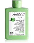 Teaology Matcha Tea Repair Shampoo šampon za krepitev las 250 ml
