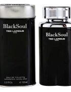 Ted Lapidus Black Soul toaletna voda za moške 100 ml