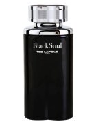 Ted Lapidus Black Soul toaletna voda za moške 100 ml