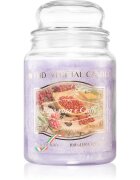 THD Vegetal Pepe Rosa E Caffe dišeča sveča 600 g